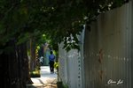 DSC_6664a
