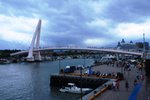 DSC_1177