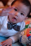DSC_03112008-02-17R