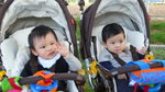 Outing to the Penfold Park