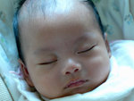 3 months old