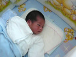 16 days old - 6lbs