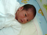 16 days old
