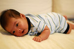 2 months old