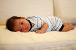 2 months old
