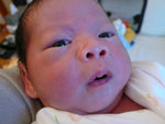 20 days old