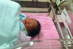 3 days old