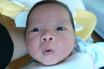 One month old - 8lbs