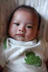 Hello, I am 3 months and 10 days old.