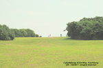 P8053497s