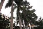 PC312110s