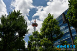 D85_5827s