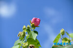 D85_5846s