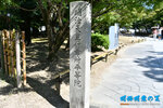 D85_5867s