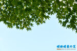 D85_5879s