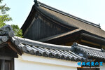 D85_5883s