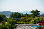 D85_5887s