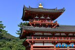 D85_5888s