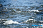 D85_5895s