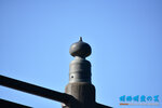 D85_5896s