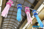 D85_5908s