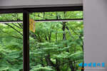 D85_5924s