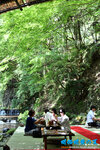 D85_5942s