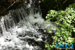 D85_5968s