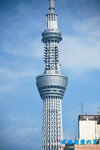 D85_6475s