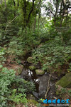 D85_6534s