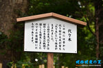 D85_6538s