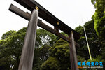 D85_6543s