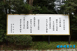 D85_6544s