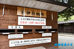 D85_6546s