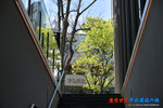 D85_8767s