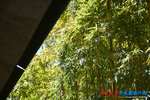 D85_8782s