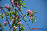 D85_8784s