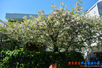 D85_8799s
