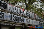 D85_8919s