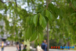 D85_8923s