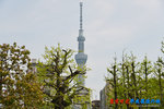 D85_8924s