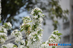 D85_8928s