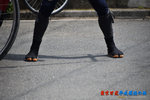 D85_8933s