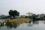 76050006