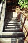 76070017
