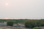 DSC_1938-1