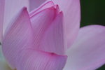 P1060937