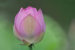P1060945