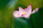 P1060980-1
