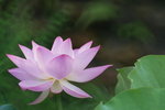 P1070008